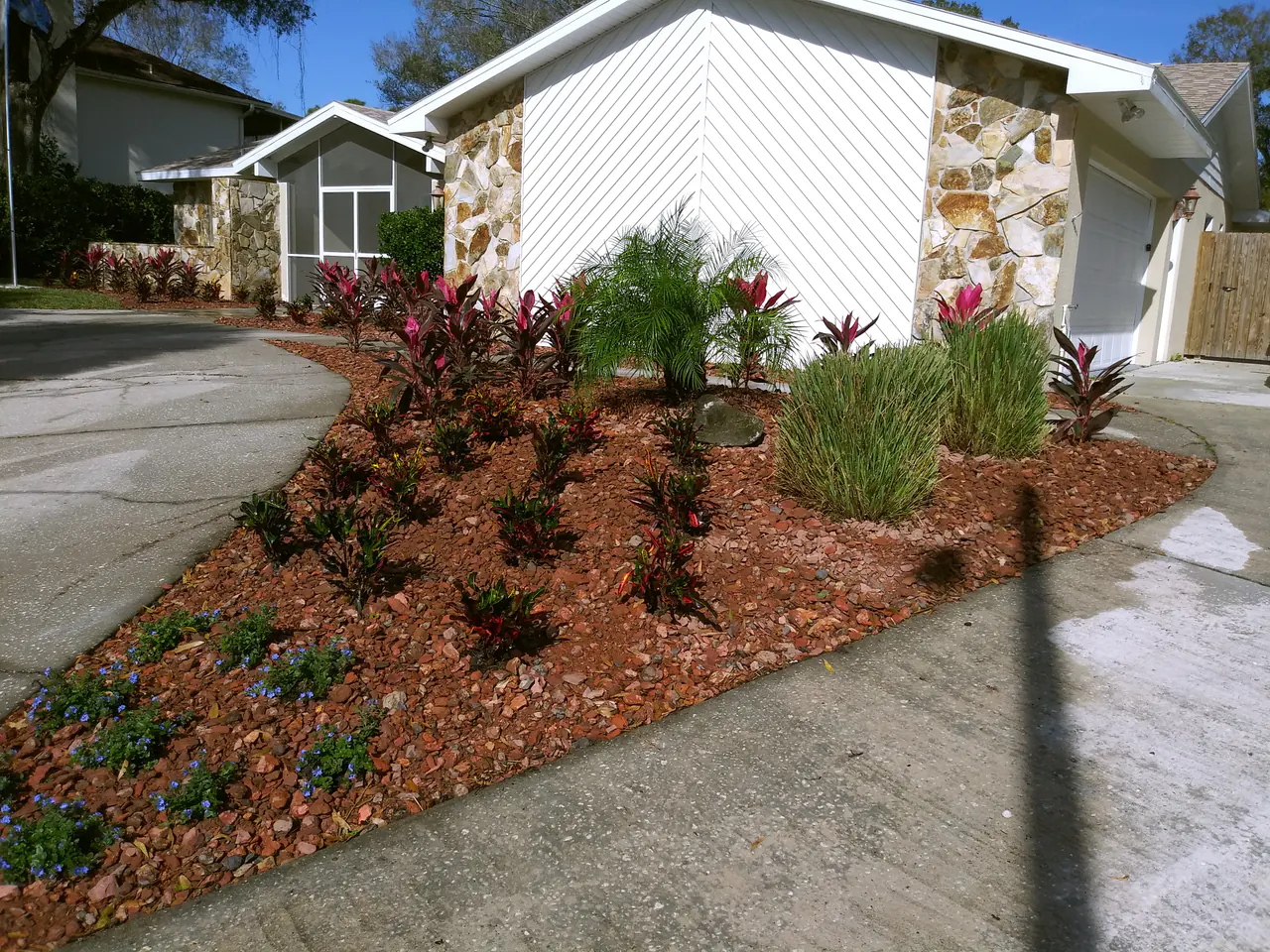 A completed front-yard red rock landscape bed with a palm, grasses, and pink cordylines