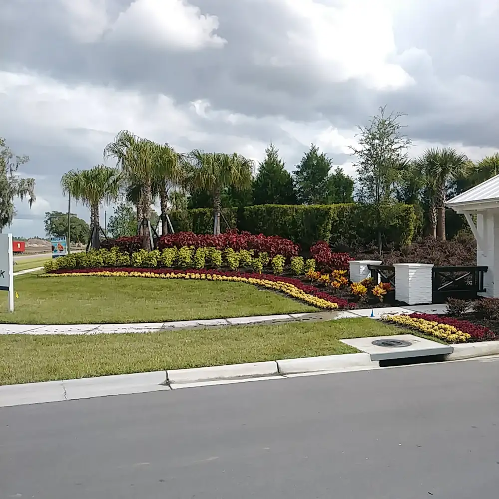 Curved beds of red and yellow plants with palms at a community entrance