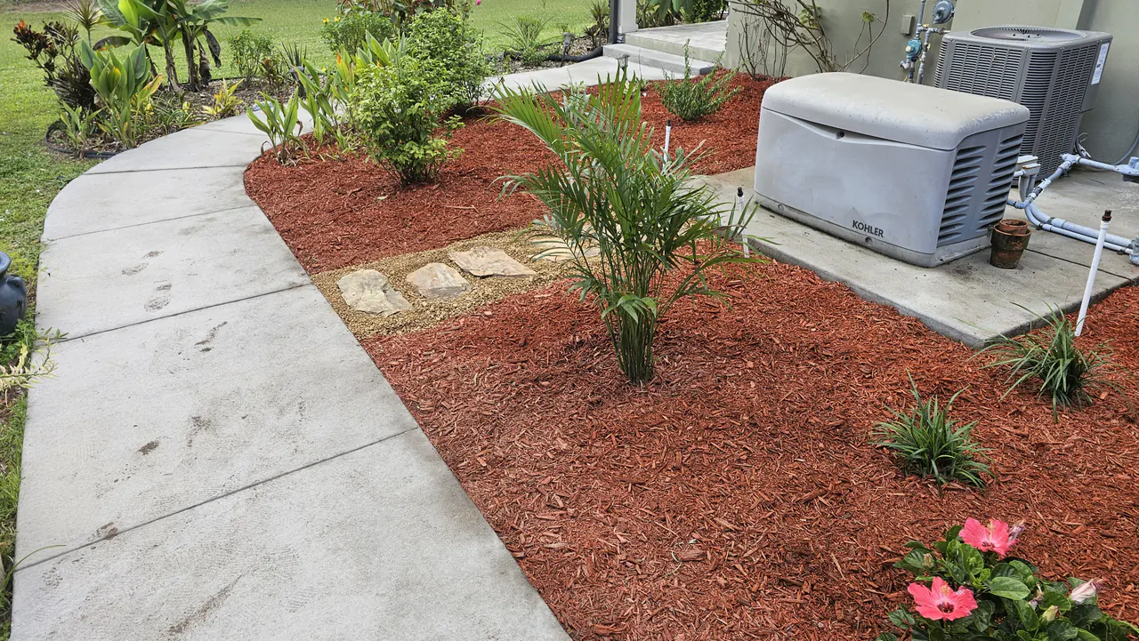 A red mulch bed with a young palm, new plantings, and flagstone stepping stones