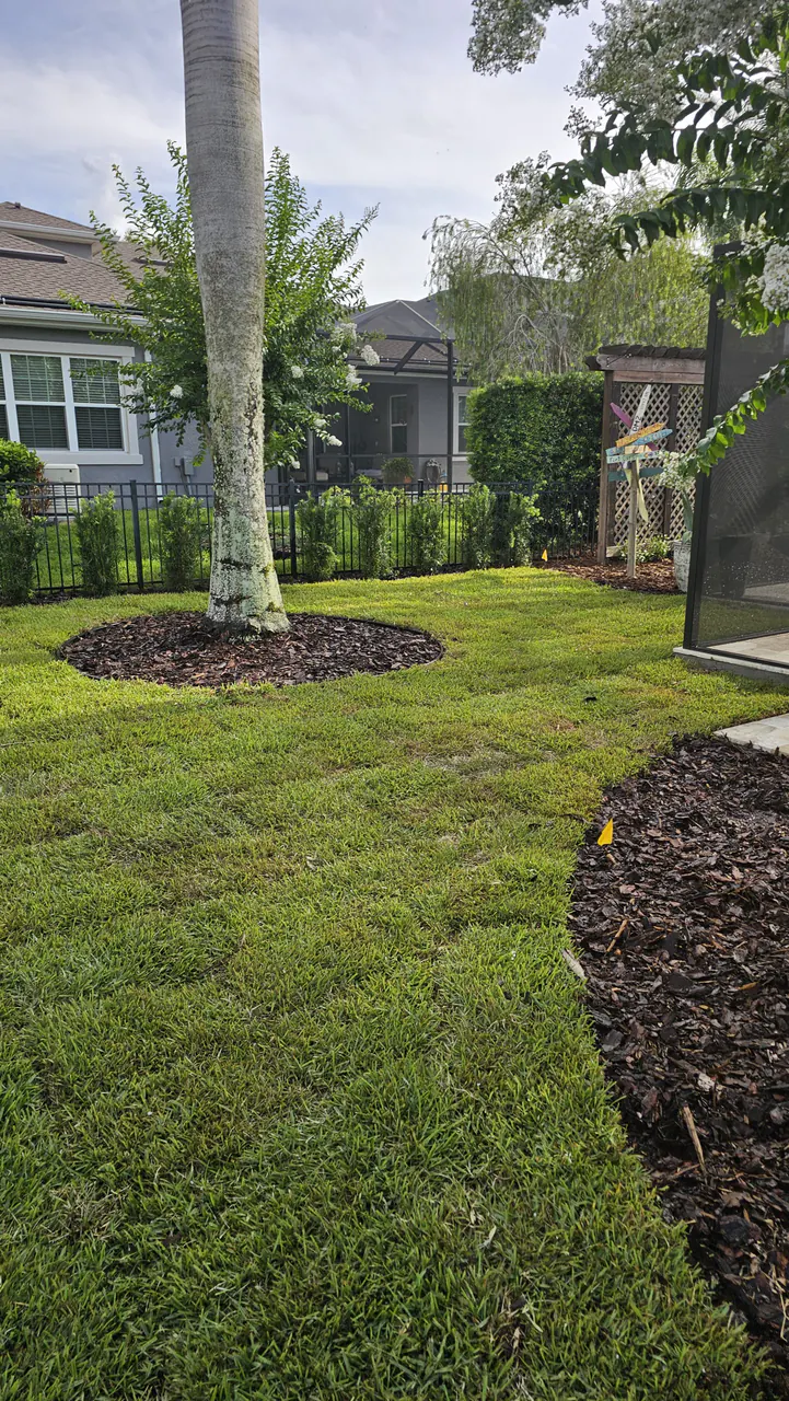 A finished travertine paver pad and stepping stones set in fresh brown mulch