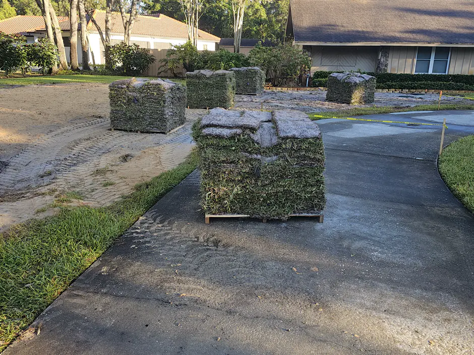 Pallets of fresh rolled sod staged on a graded front yard Woods prepped for a new sod installation